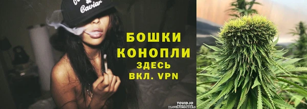 индика Кукмор