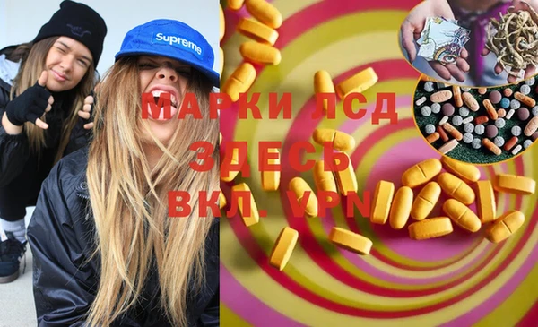 индика Кукмор