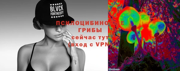 индика Кукмор