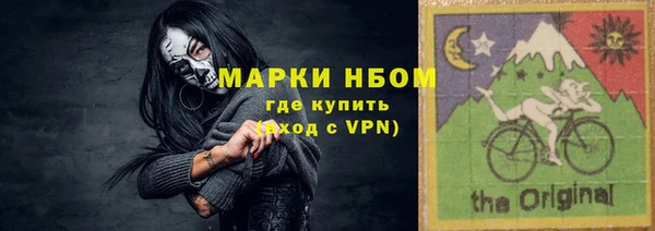 индика Кукмор