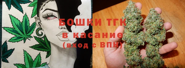 индика Кукмор