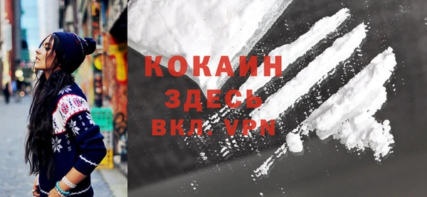 индика Кукмор