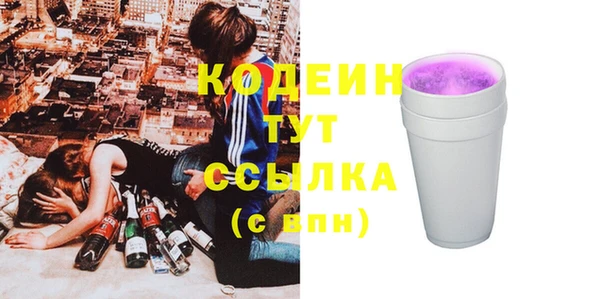 индика Кукмор