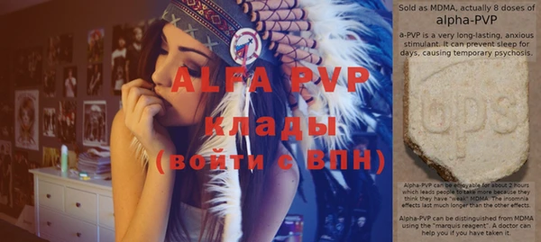 индика Кукмор