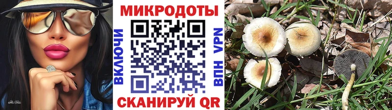 Купить закладки  Руза  Псилоцибиновые грибы Psilocybine cubensis 