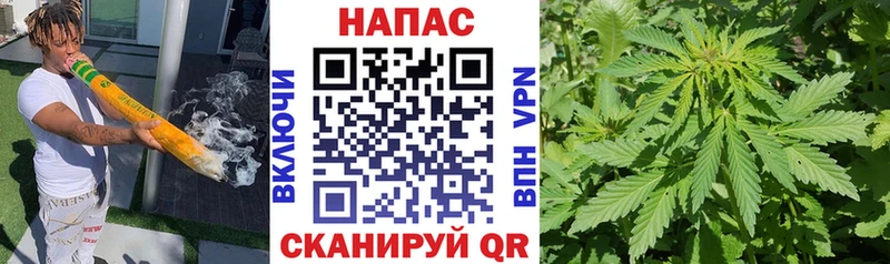 Бошки Шишки конопля Руза
